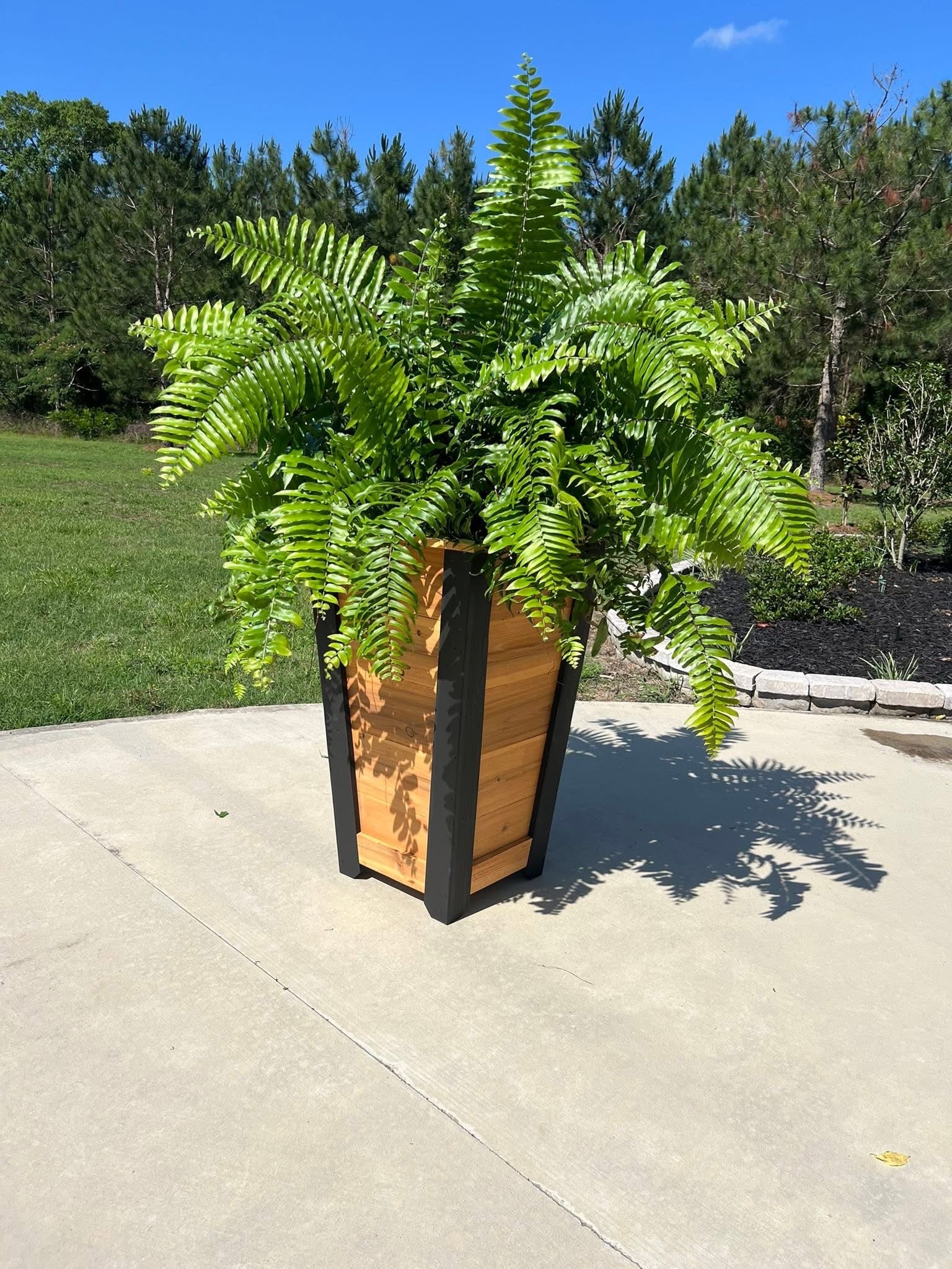 Modern Cedar Tapered Planter